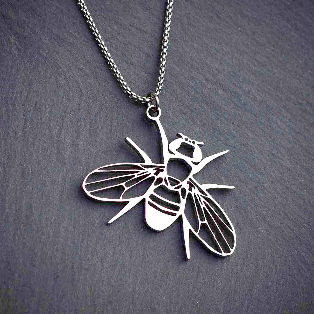 Drosophila fruit fly necklace - science jewelry gift for a student or researcher in biology or genetics. Silver steel version.