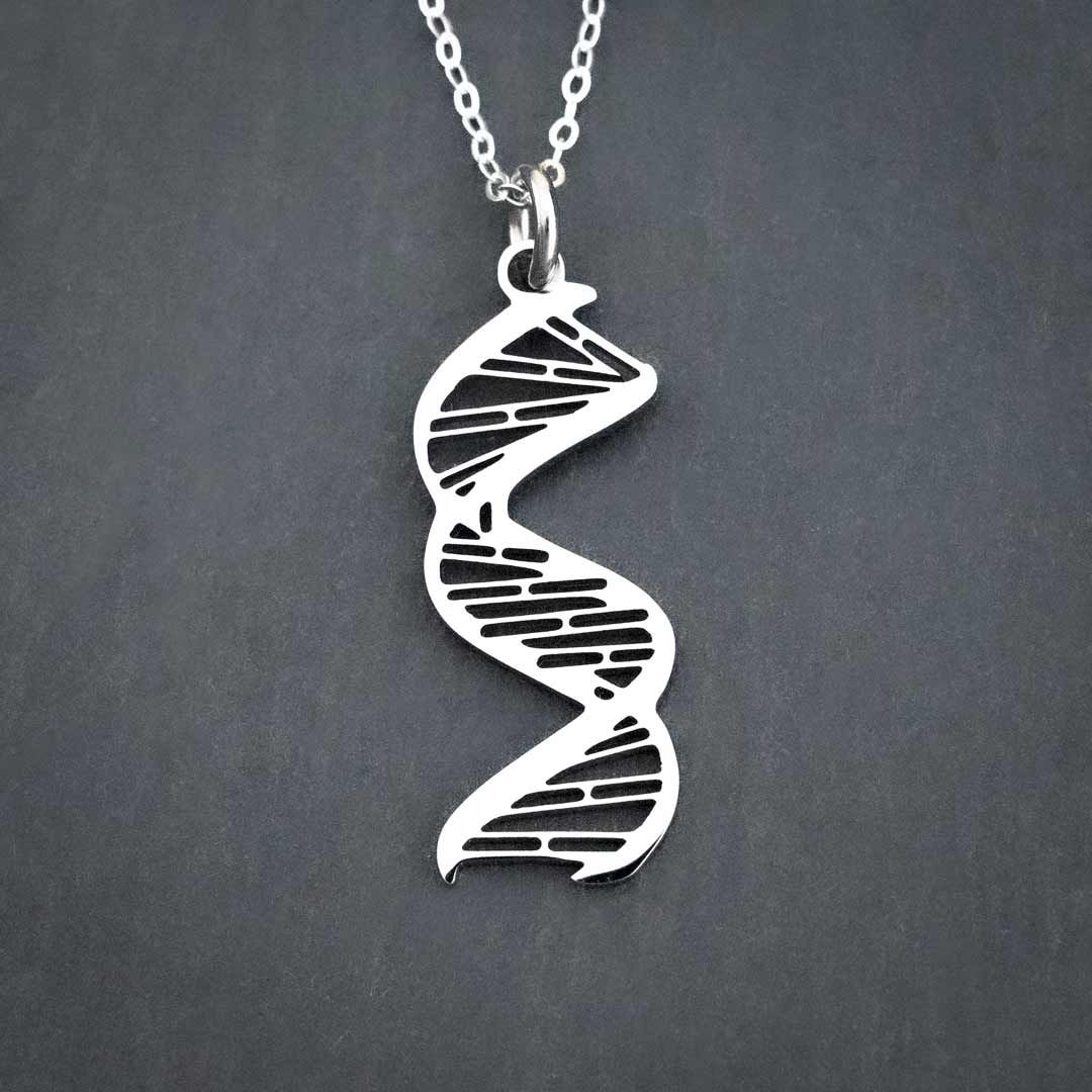 DNA Necklace, complete with major and minor grooves and base pairing. Beautiful science jewelry for a biologist or science student or teacher.