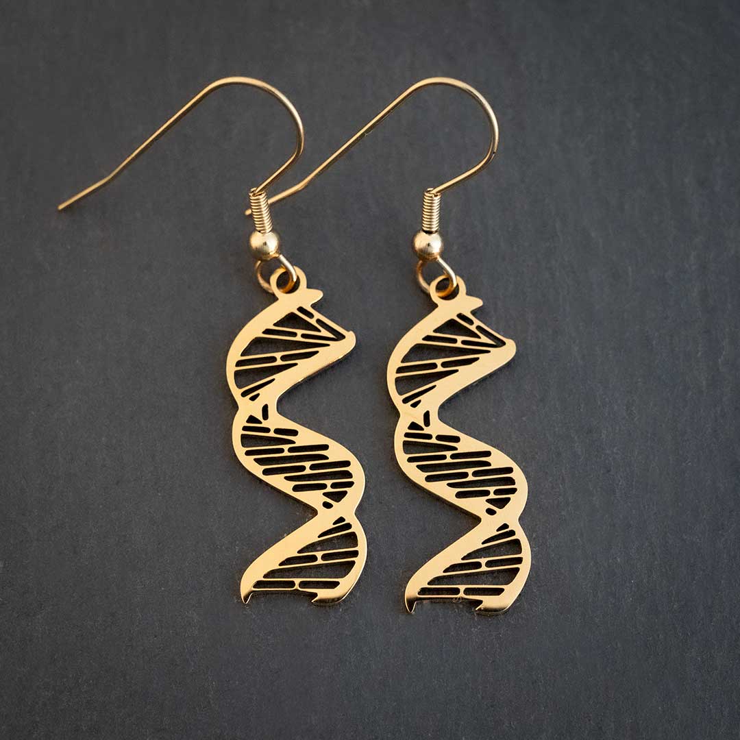 DNA earrings, complete with major and minor grooves and base pairing. Beautiful science jewelry for a biologist or science student or teacher.