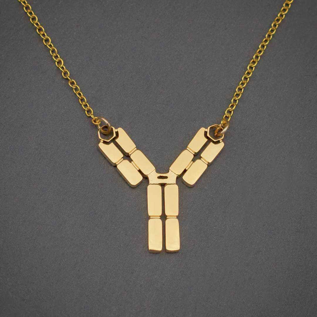 Antibody Necklace - Elegant science jewelry for a unique get-well gift, biologists, virologists, science researchers, immunologists, doctors, nurses, med students, and essential workers. Polished steel antibody displays the antigen binding site, the interchain disulfide bonds, the hinge region, the Fab fragment, and the Fc region. Pendant is lead free and nickel free non tarnish gold finish polished steel on an 18&quot; gold plated chain.