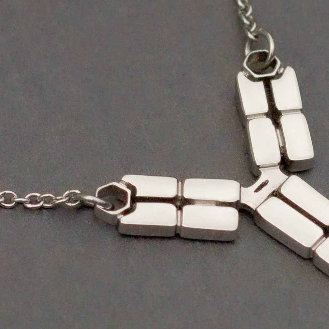 Antibody Necklace - Elegant science jewelry for a unique get-well gift, biologists, virologists, science researchers, immunologists, doctors, nurses, med students, and essential workers. Polished steel antibody displays the antigen binding site, the interchain disulfide bonds, the hinge region, the Fab fragment, and the Fc region. Pendant is lead free and nickel free non tarnish polished steel on an adjustable 16 - 18&quot; steel chain.
