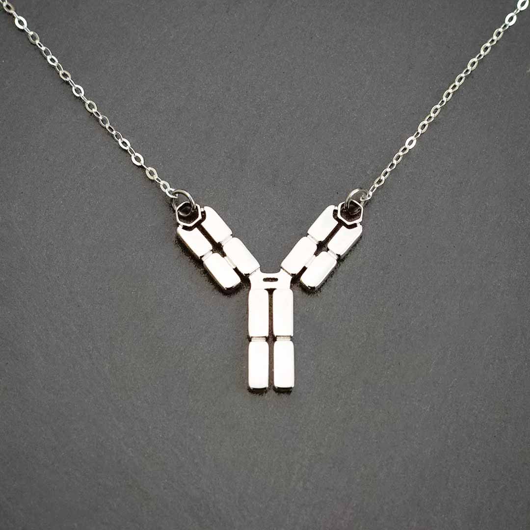 Antibody Necklace - Elegant science jewelry for a unique get-well gift, biologists, virologists, science researchers, immunologists, doctors, nurses, med students, and essential workers. Polished steel antibody displays the antigen binding site, the interchain disulfide bonds, the hinge region, the Fab fragment, and the Fc region. Pendant is lead free and nickel free non tarnish polished steel on an adjustable 16 - 18&quot; steel chain.