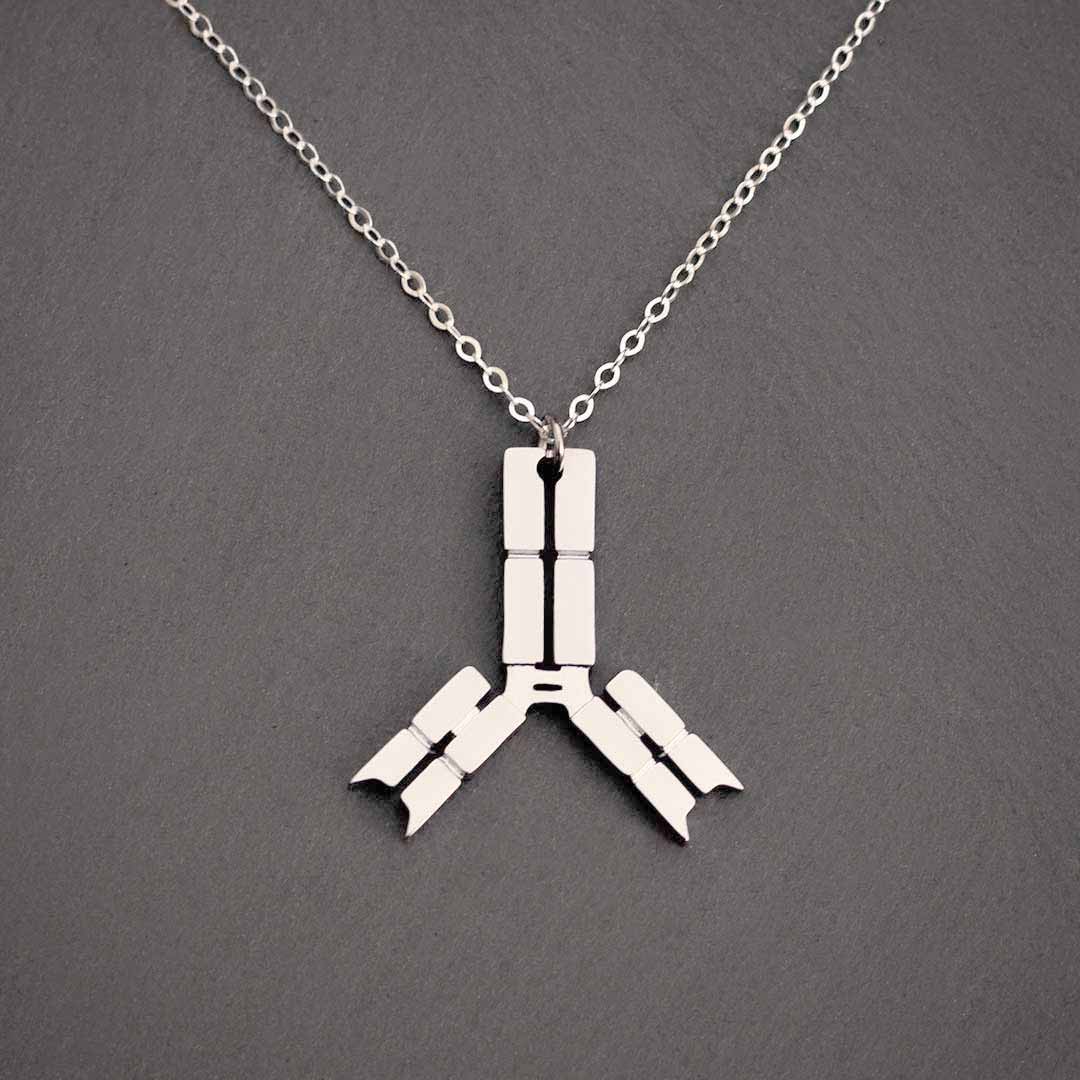 Antibody Necklace - Elegant science jewelry for a unique get-well gift, biologists, virologists, science researchers, immunologists, doctors, nurses, med students, and essential workers. Polished steel antibody displays the antigen binding site, the interchain disulfide bonds, the hinge region, the Fab fragment, and the Fc region. Pendant is lead free and nickel free non tarnish polished steel on an adjustable 16 - 18" steel chain.