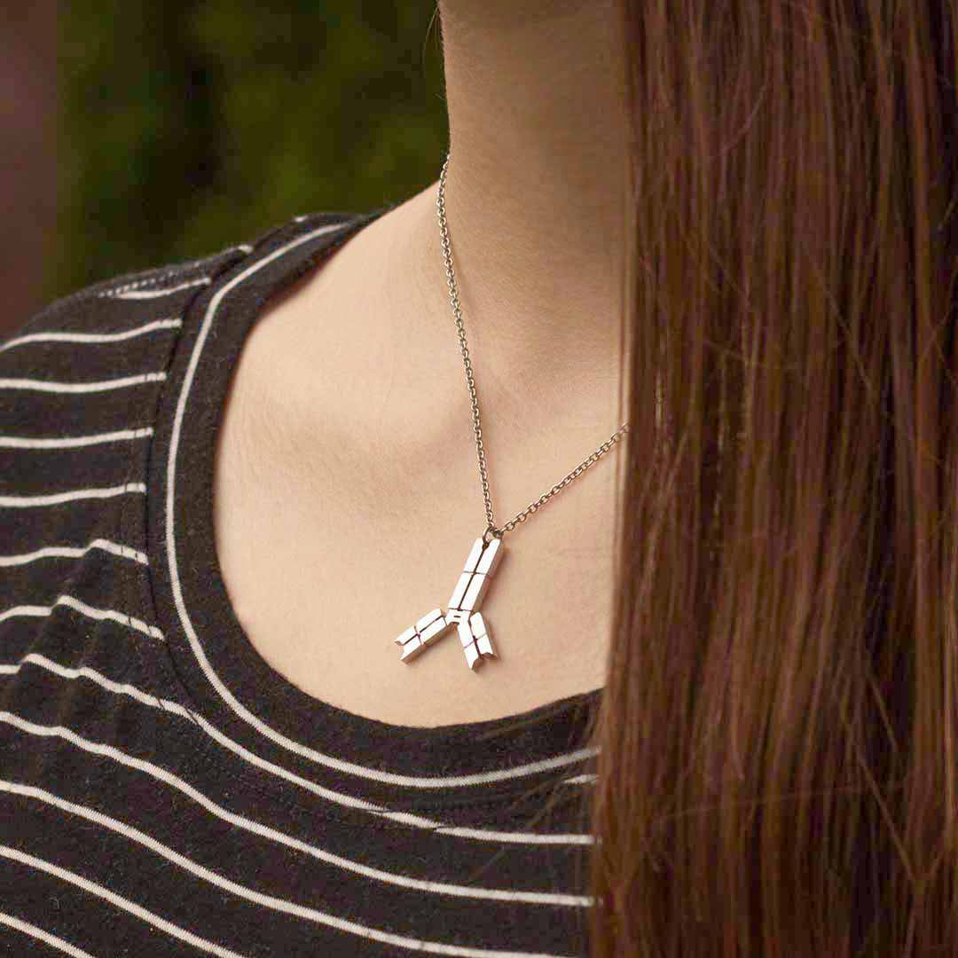 Antibody Necklace - Elegant science jewelry for a unique get-well gift, biologists, virologists, science researchers, immunologists, doctors, nurses, med students, and essential workers. Polished steel antibody displays the antigen binding site, the interchain disulfide bonds, the hinge region, the Fab fragment, and the Fc region. Pendant is lead free and nickel free non tarnish polished steel on an adjustable 16 - 18&quot; steel chain.
