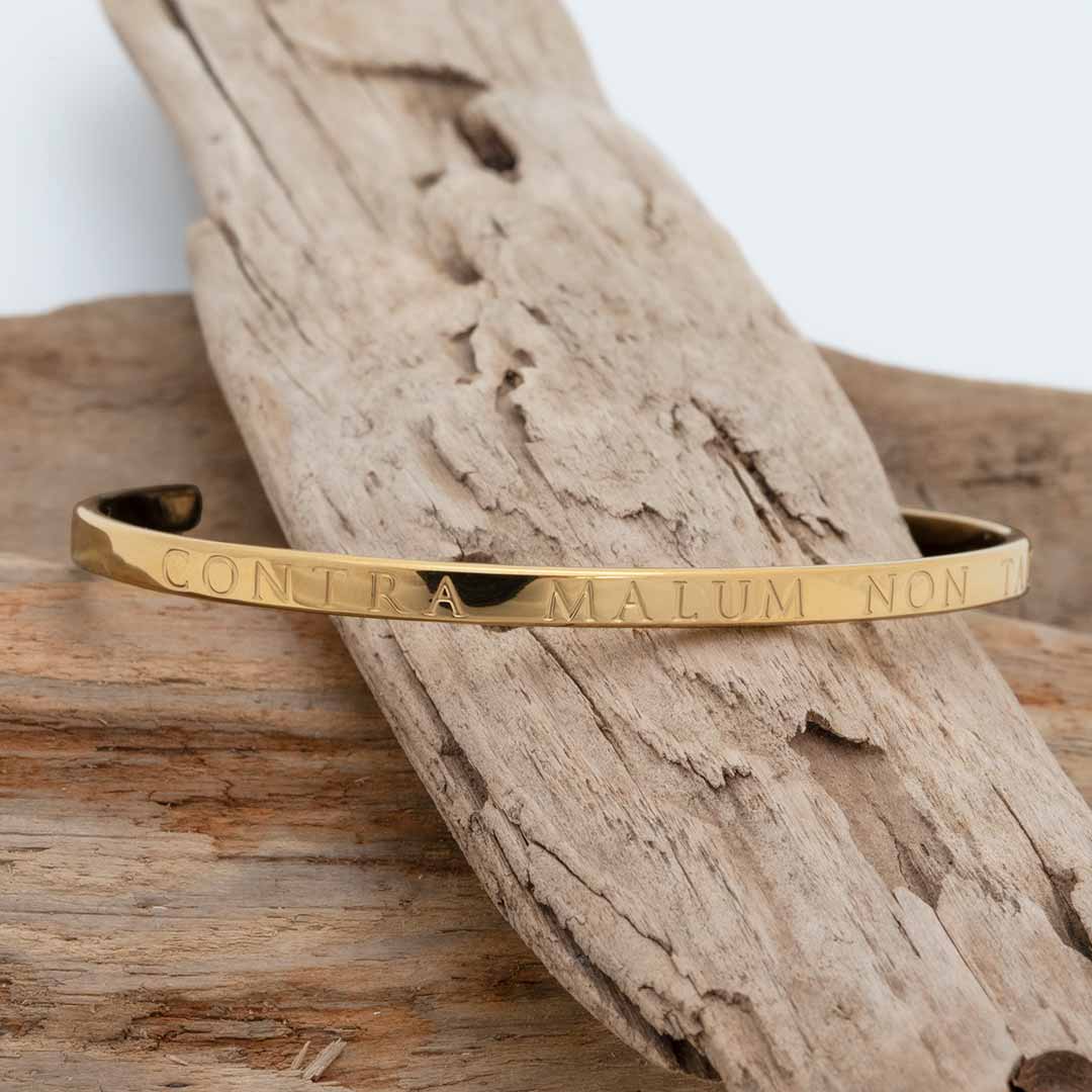 "Against Evil, I Will Not Be Silent" Bracelet