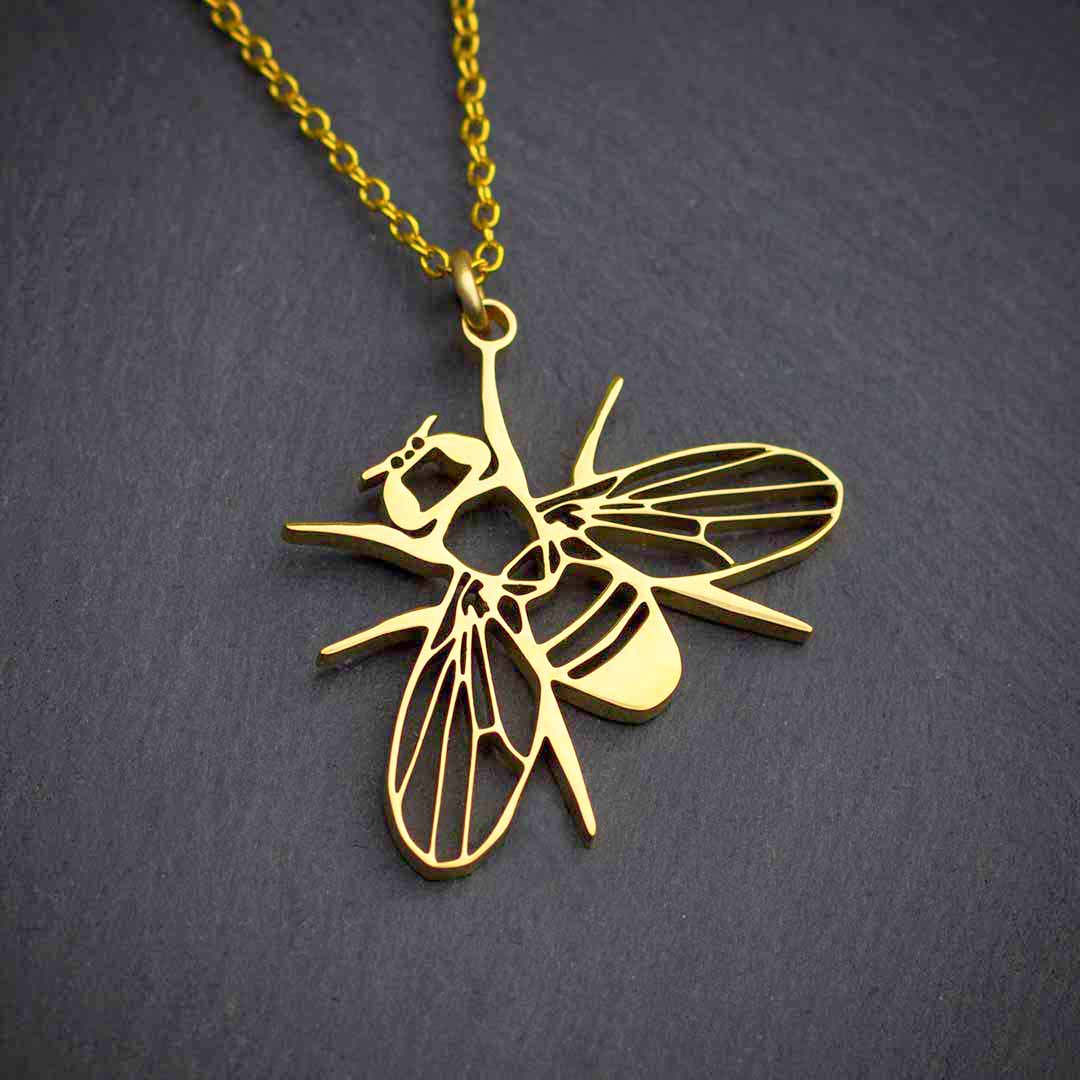 Drosophila fruit fly necklace - science jewelry gift for a student or researcher in biology or genetics. Gold version.