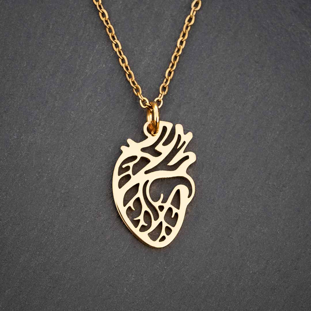 Anatomical Heart Necklace - science jewelry that makes great gifts for students and teachers in biology and medicine.