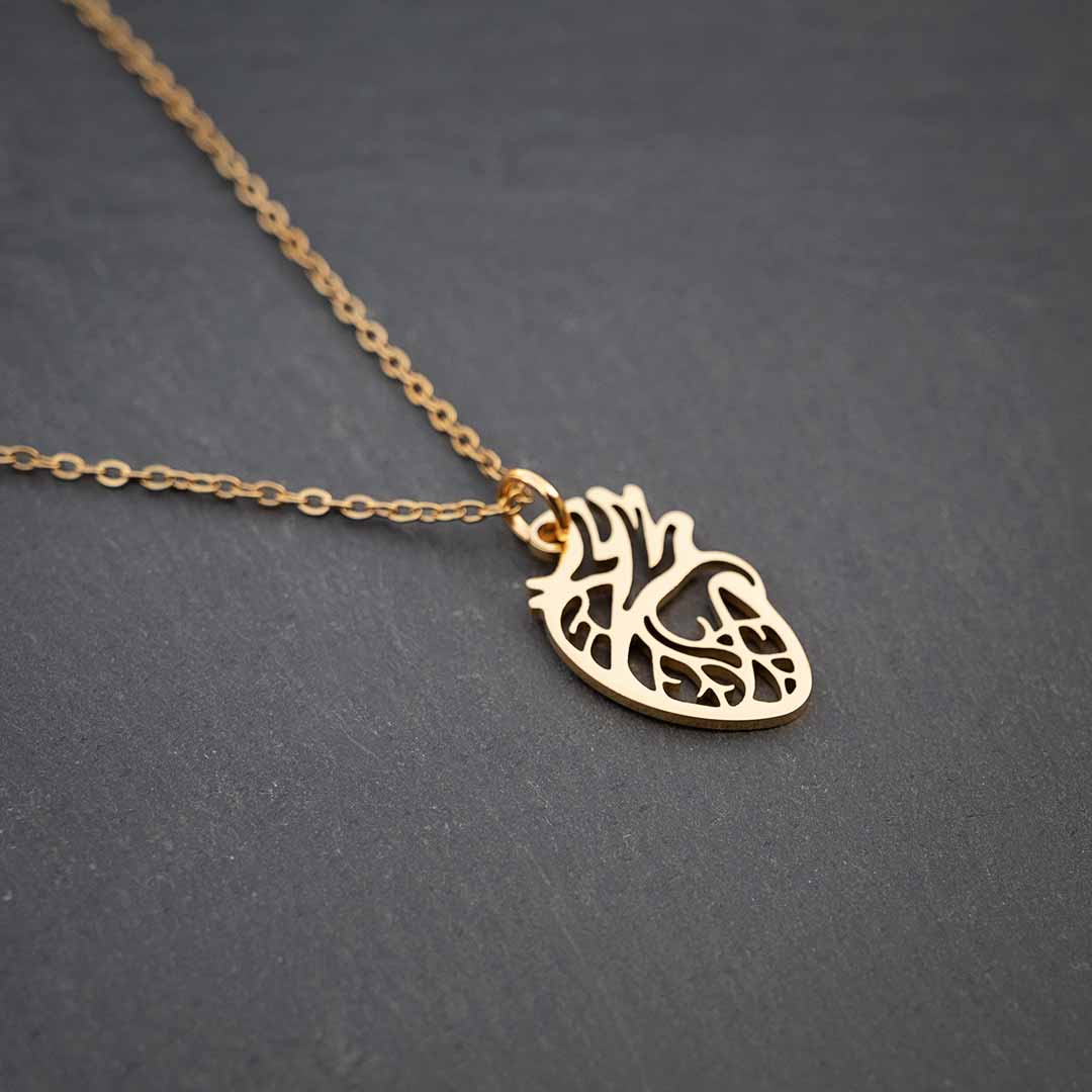 Anatomical Heart Necklace - science jewelry that makes great gifts for students and teachers in biology and medicine.