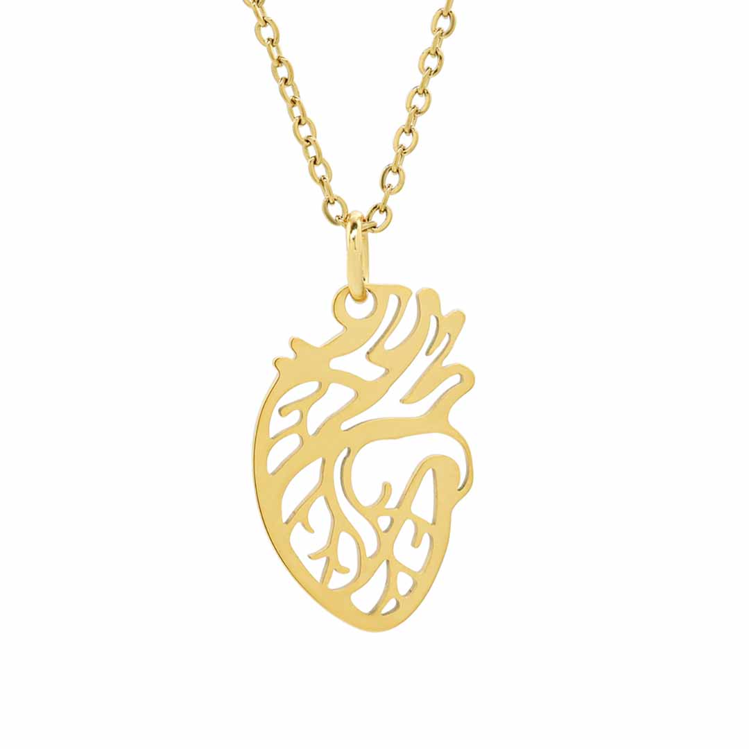 Anatomical Heart Necklace - science jewelry that makes great gifts for students and teachers in biology and medicine.