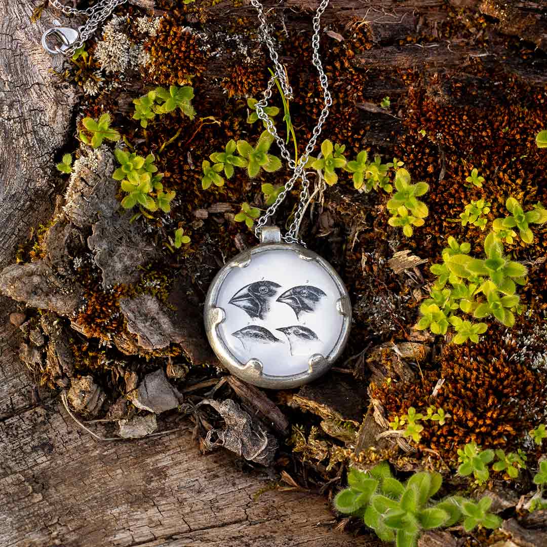 Darwin / Evolution Necklace