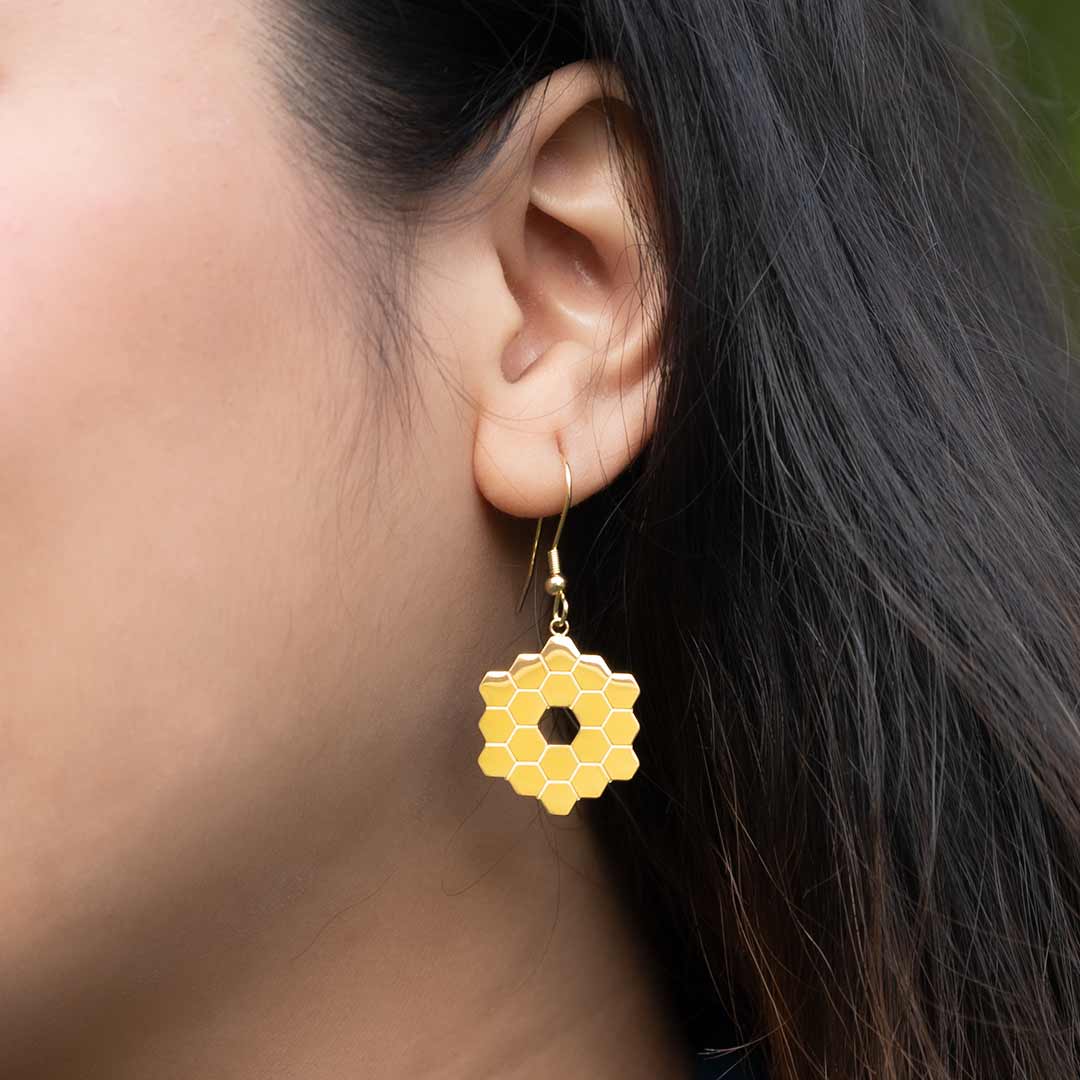 James Webb Space Telescope Earrings