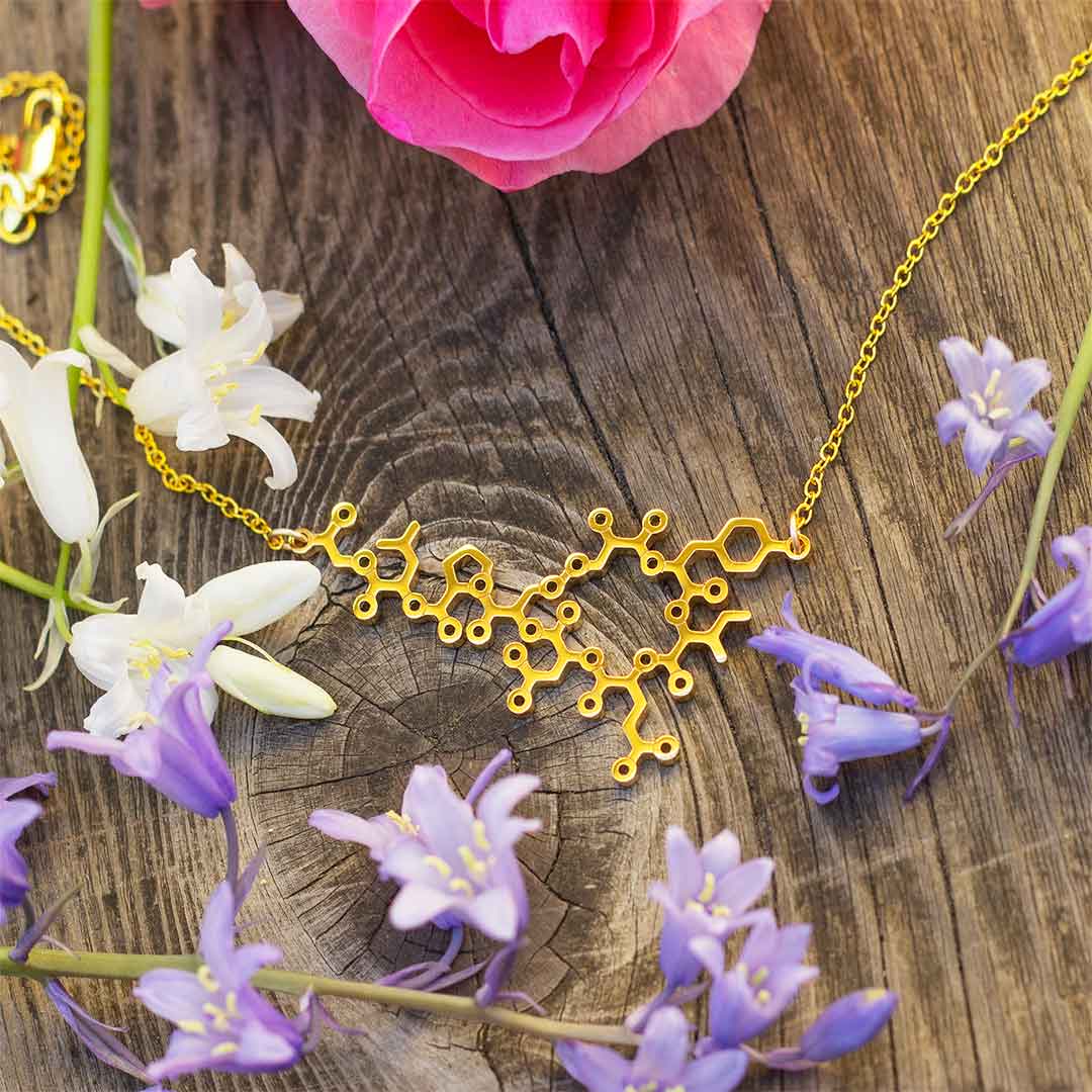 Gold oxytocin necklace with gold chain -- a wonderful science jewelry gift for mothers, breastfeeding advocates, midwives, doulas, obstetricians, and sweethearts. Oxytocin is a social bonding hormone that facilitates childbirth, love, and friendship.