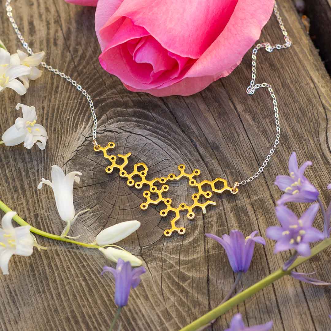 Gold oxytocin necklace with sterling silver chain -- a wonderful science jewelry gift for mothers, breastfeeding advocates, midwives, doulas, obstetricians, and sweethearts. Oxytocin is a social bonding hormone that facilitates childbirth, love, and friendship.