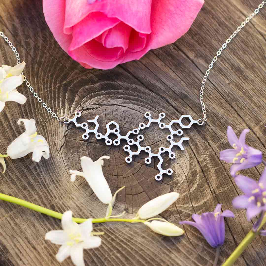 Oxytocin necklace with sterling silver chain -- a wonderful science jewelry gift for mothers, breastfeeding advocates, midwives, doulas, obstetricians, and sweethearts. Oxytocin is a social bonding hormone that facilitates childbirth, love, and friendship.