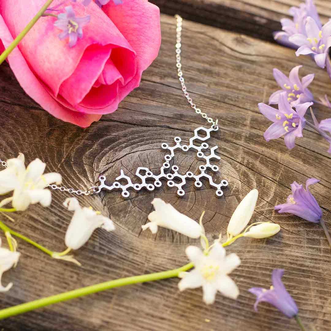 Oxytocin necklace with sterling silver chain -- a wonderful science jewelry gift for mothers, breastfeeding advocates, midwives, doulas, obstetricians, and sweethearts. Oxytocin is a social bonding hormone that facilitates childbirth, love, and friendship.
