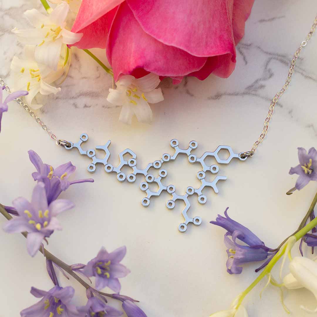 Oxytocin necklace with sterling silver chain -- a wonderful science jewelry gift for mothers, breastfeeding advocates, midwives, doulas, obstetricians, and sweethearts. Oxytocin is a social bonding hormone that facilitates childbirth, love, and friendship.