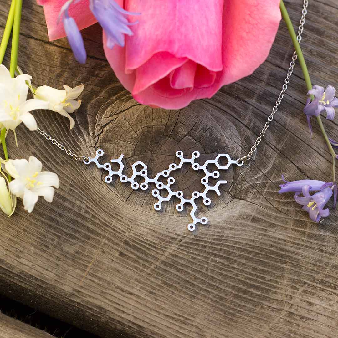 Oxytocin necklace with steel chain -- a wonderful science jewelry gift for mothers, breastfeeding advocates, midwives, doulas, obstetricians, and sweethearts. Oxytocin is a social bonding hormone that facilitates childbirth, love, and friendship.