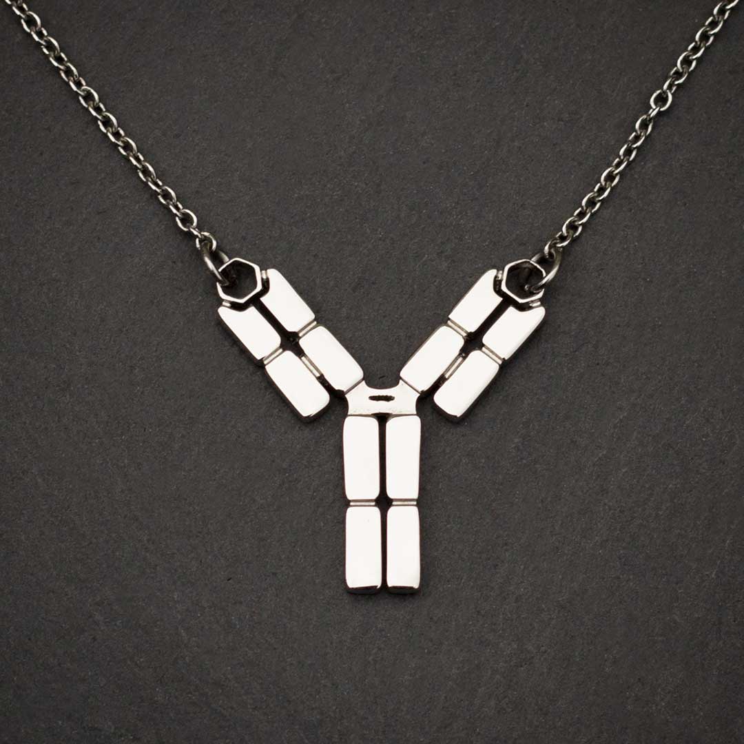 Antibody Necklace - Elegant science jewelry for a unique get-well gift, biologists, virologists, science researchers, immunologists, doctors, nurses, med students, and essential workers. Polished steel antibody displays the antigen binding site, the interchain disulfide bonds, the hinge region, the Fab fragment, and the Fc region. Pendant is lead free and nickel free non tarnish polished steel on an adjustable 16 - 18" steel chain.