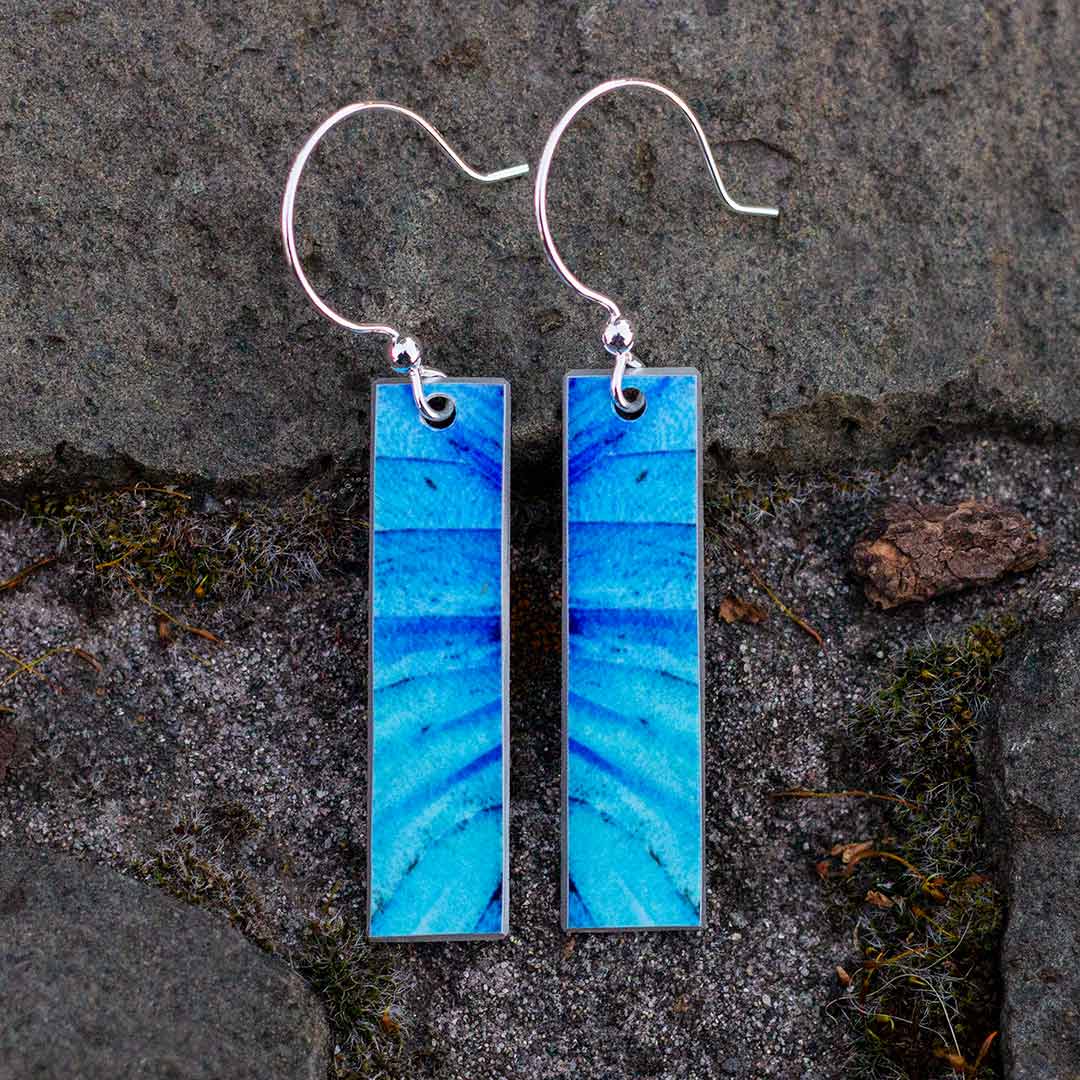 Blue Morpho Butterfly Wing Earrings
