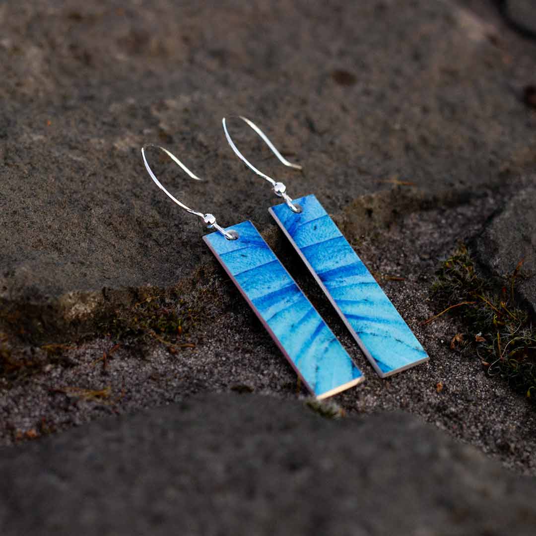 Blue Morpho Butterfly Wing Earrings