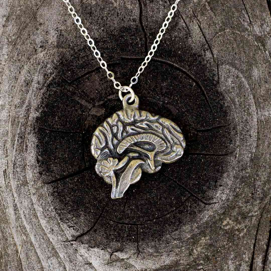 Brain necklace with a silver chain. 