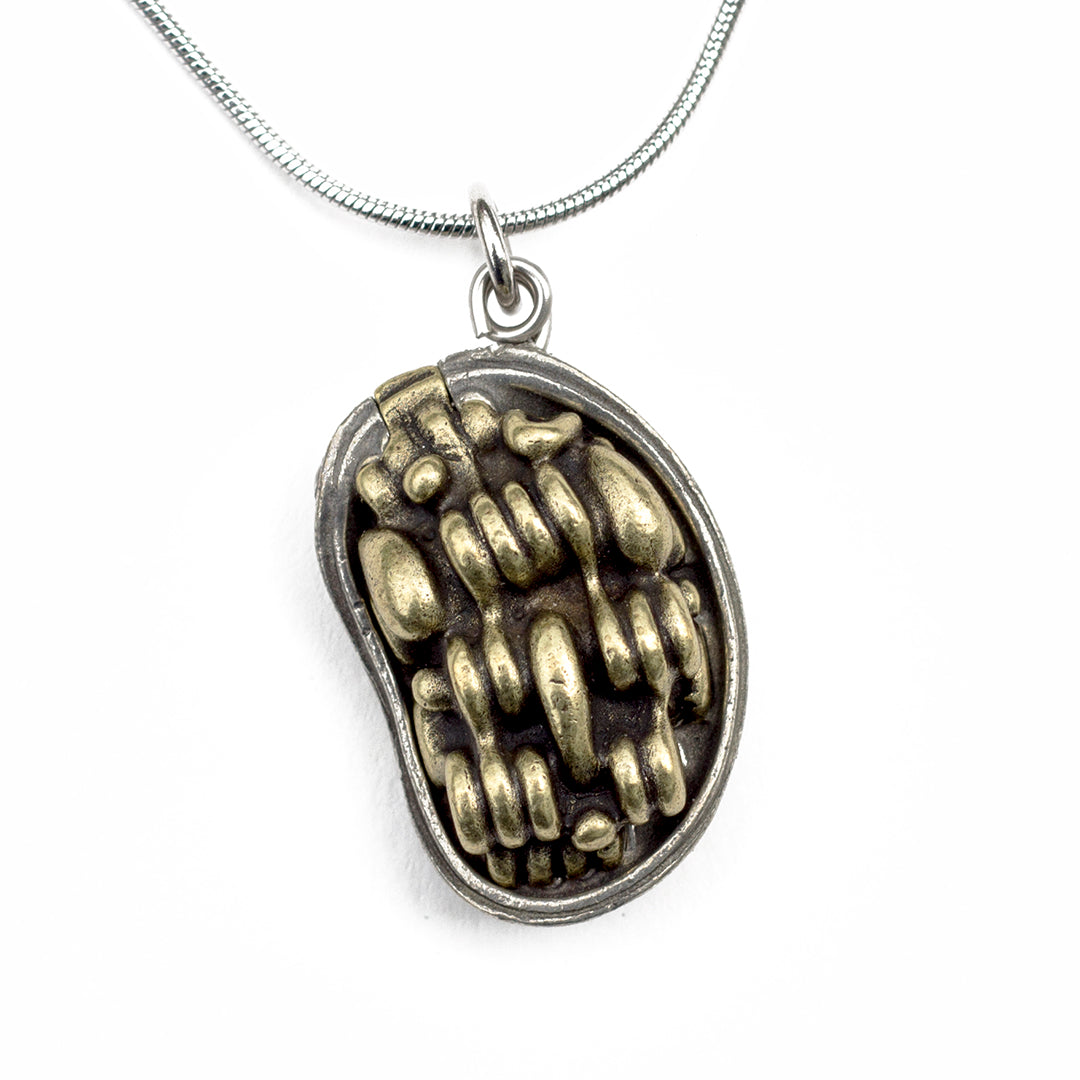 Chloroplast Necklace