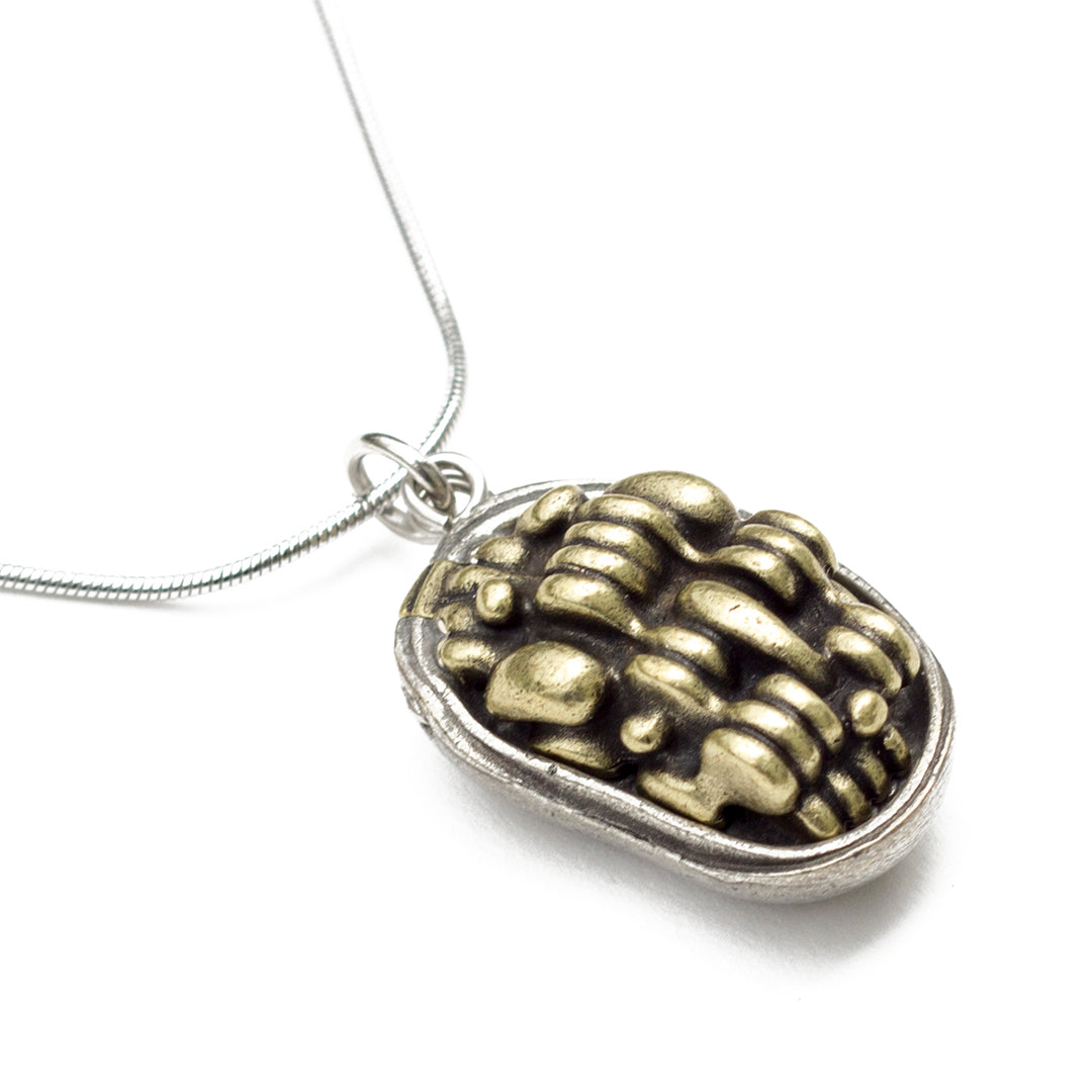 Chloroplast Necklace