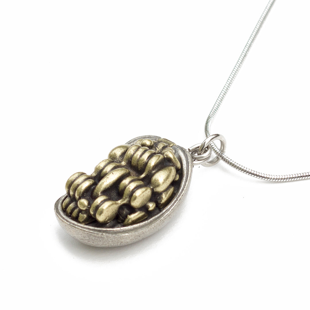 Chloroplast Necklace