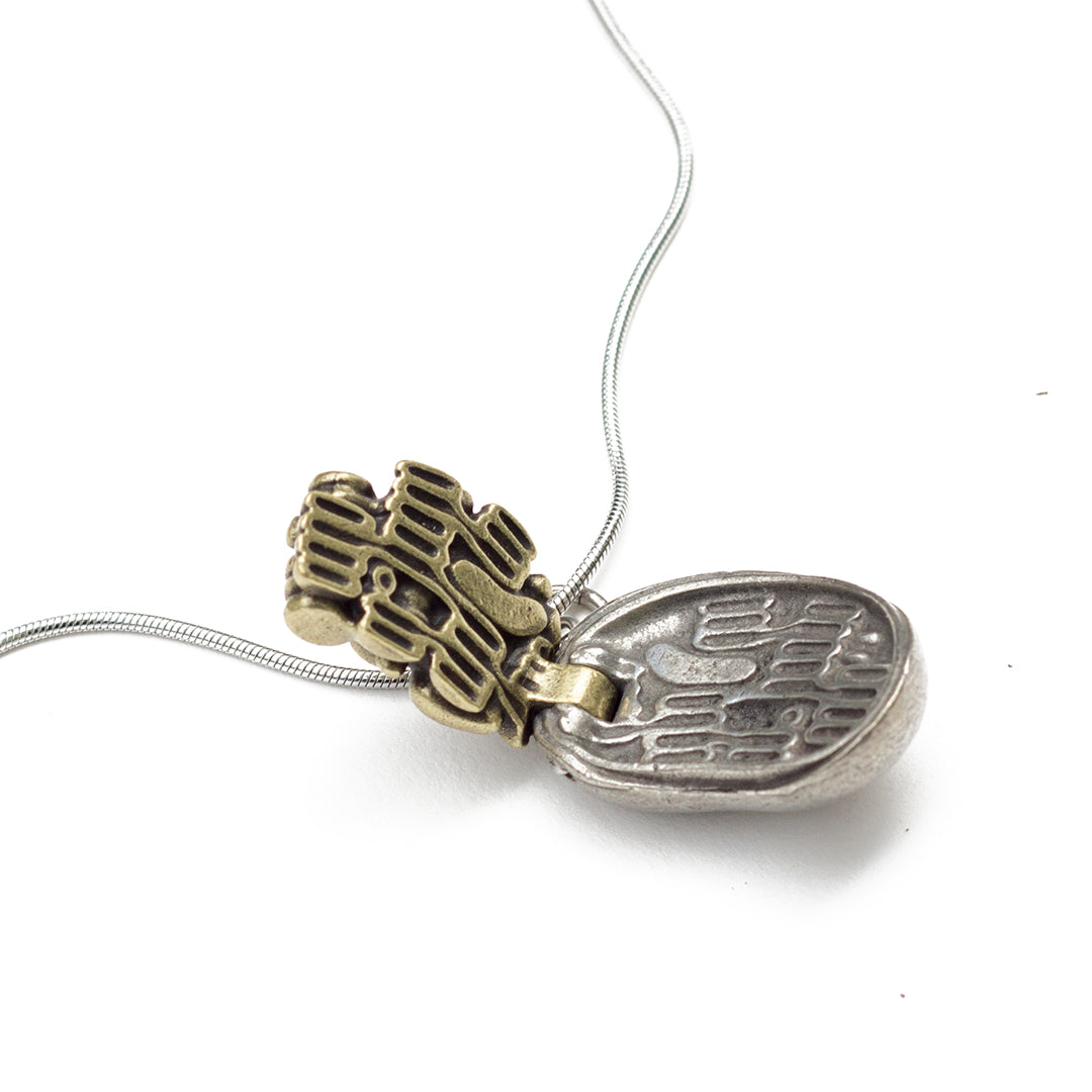 Chloroplast Necklace
