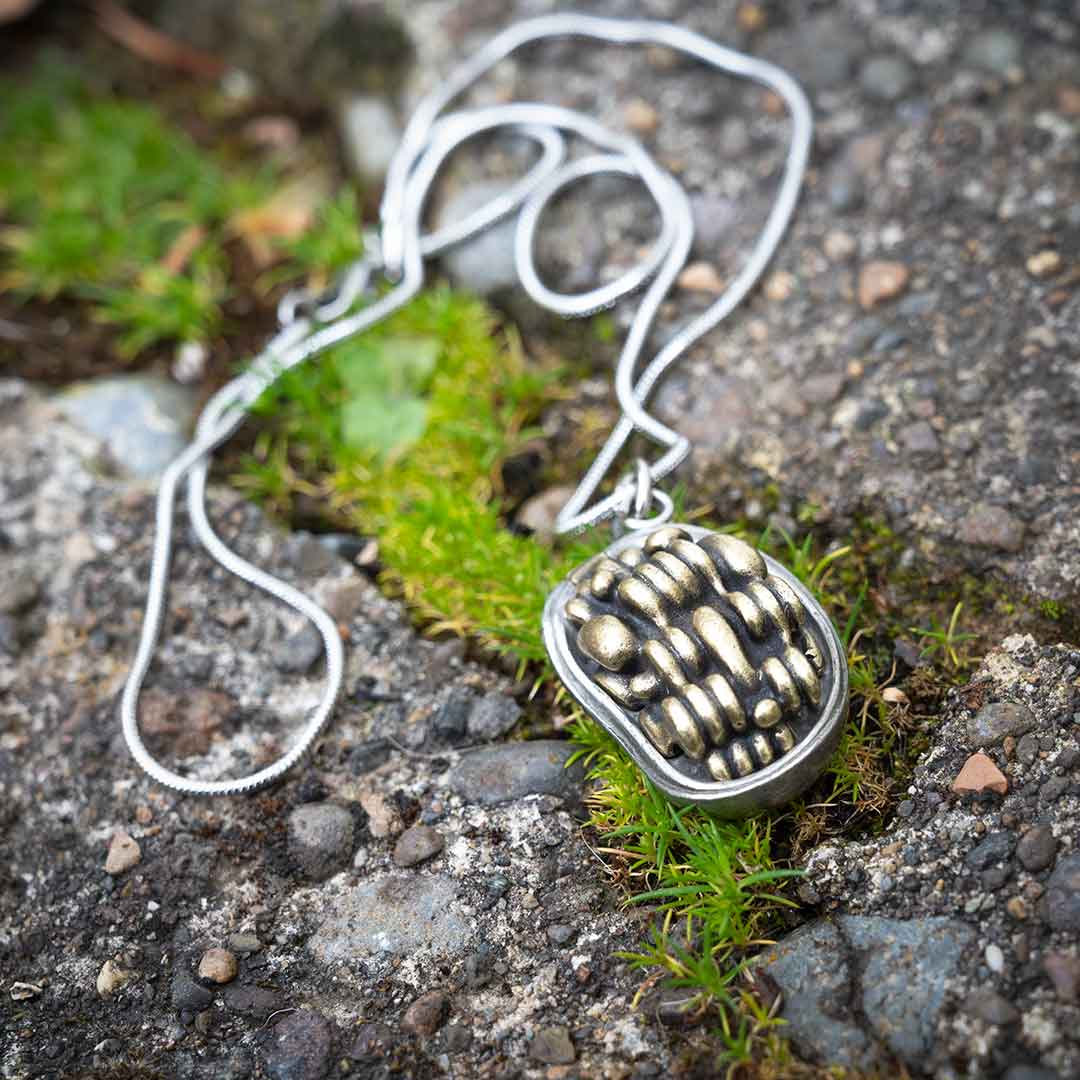 Chloroplast Necklace