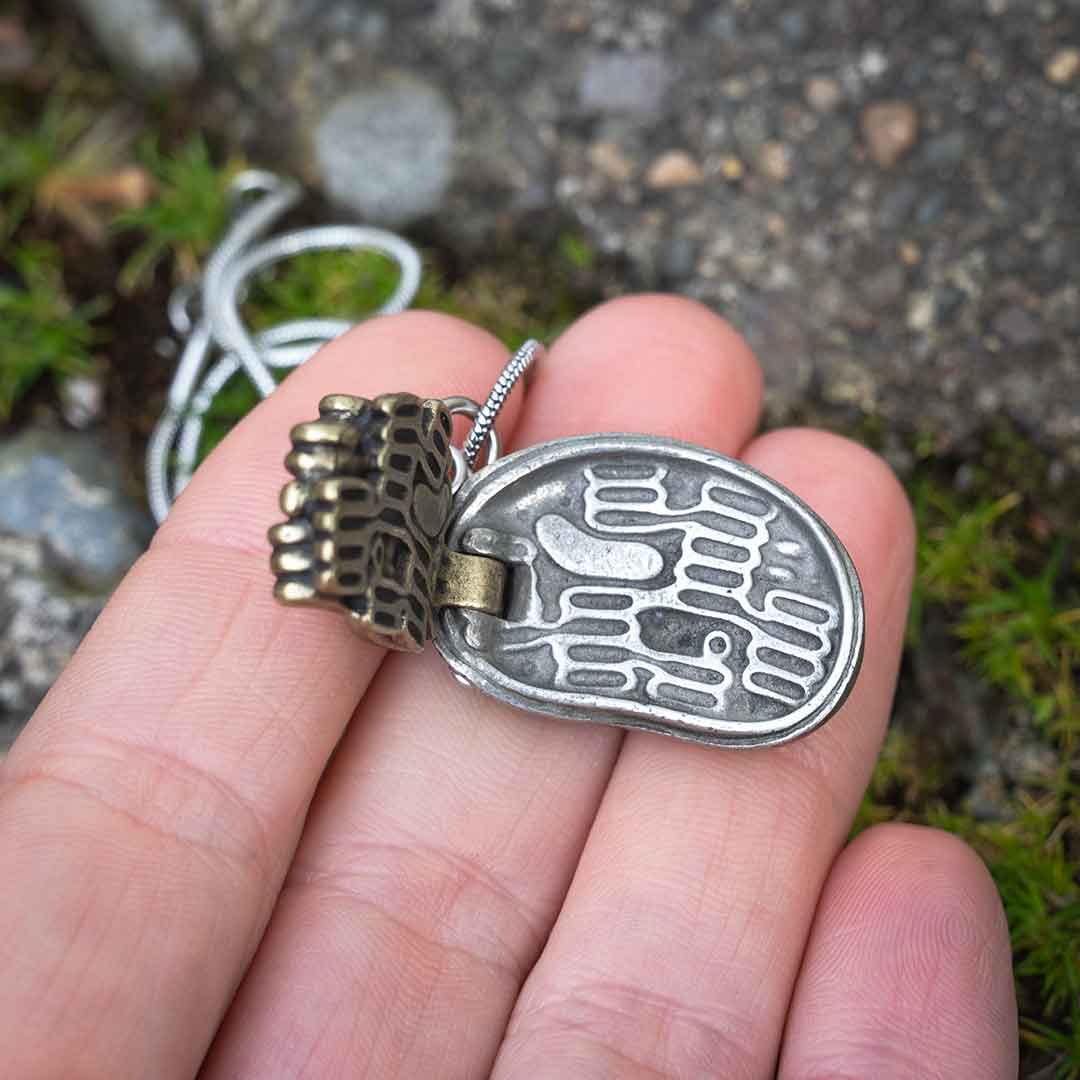 Chloroplast Necklace