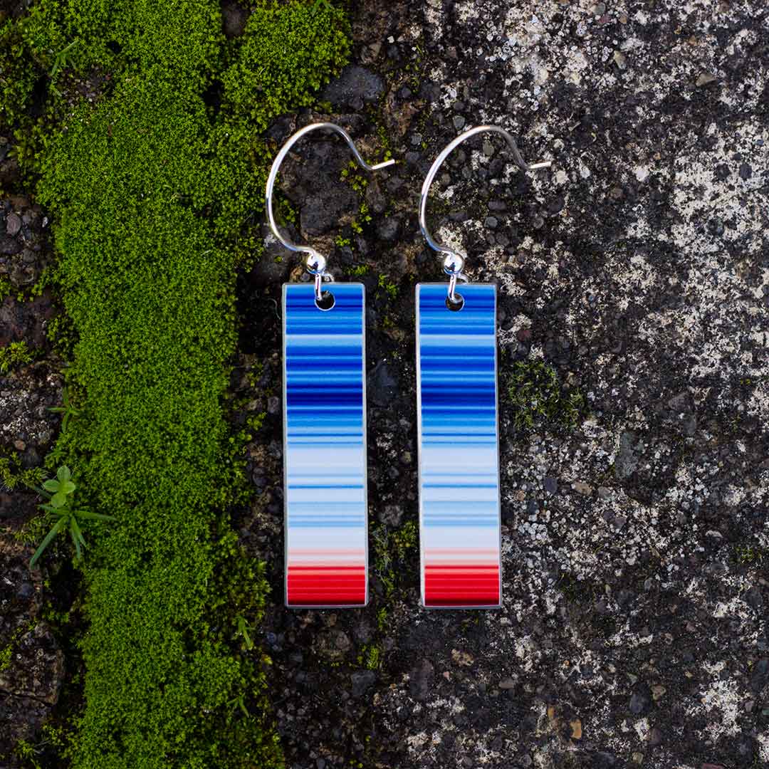 Climate Change Earrings
