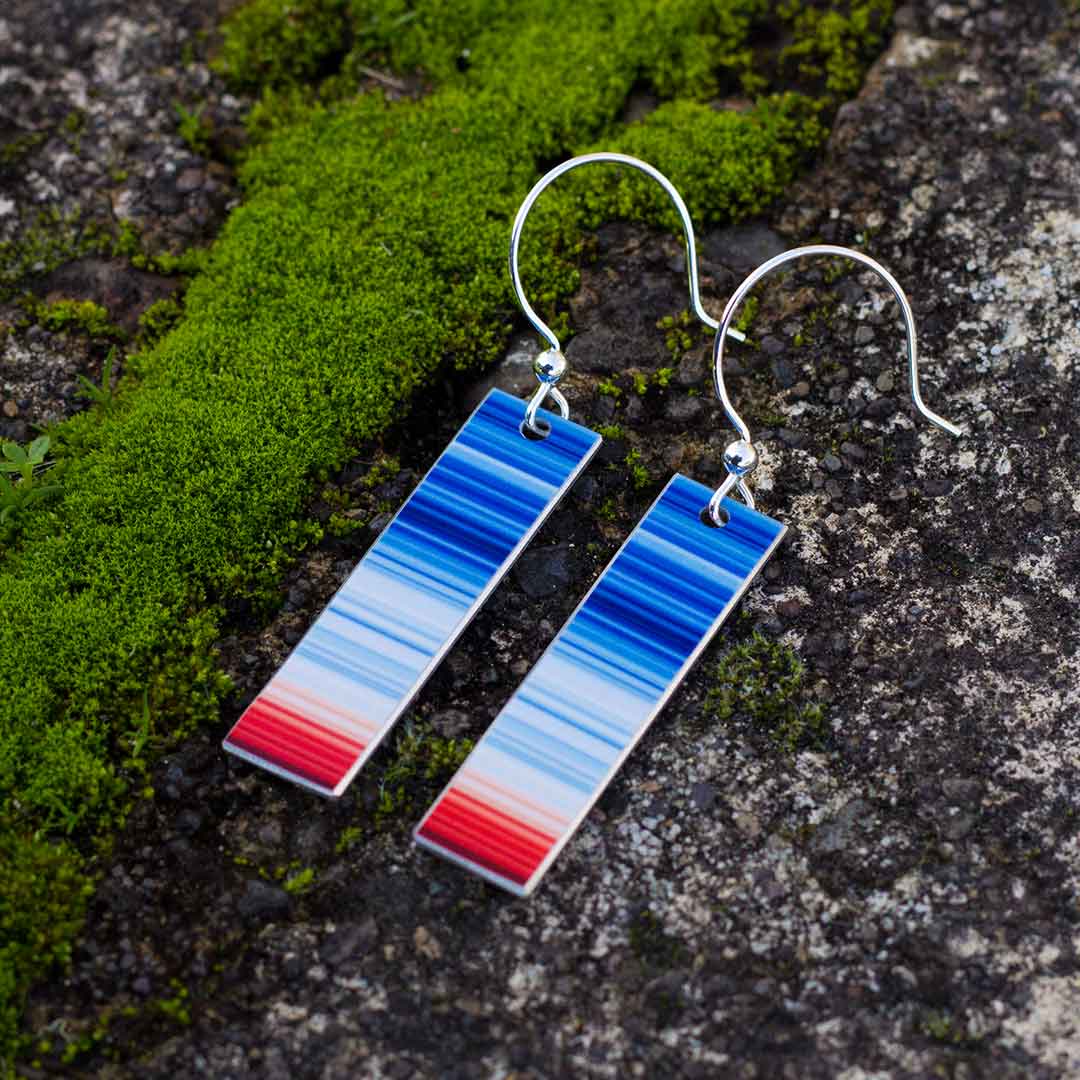 Climate Change Earrings