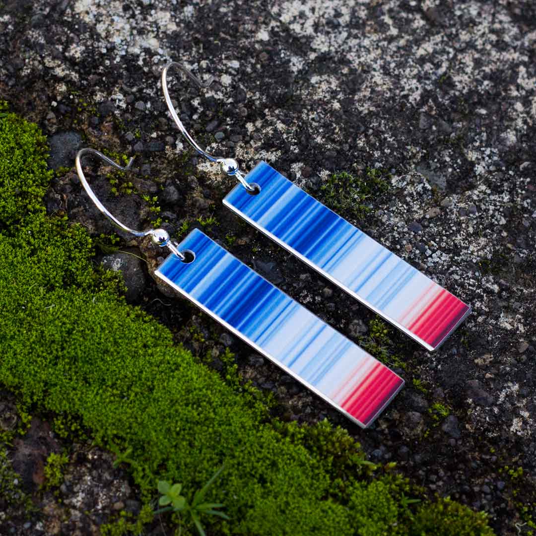 Climate Change Earrings