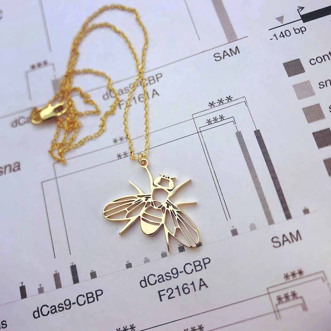 Drosophila fruit fly necklace - science jewelry gift for a student or researcher in biology or genetics. Gold version.