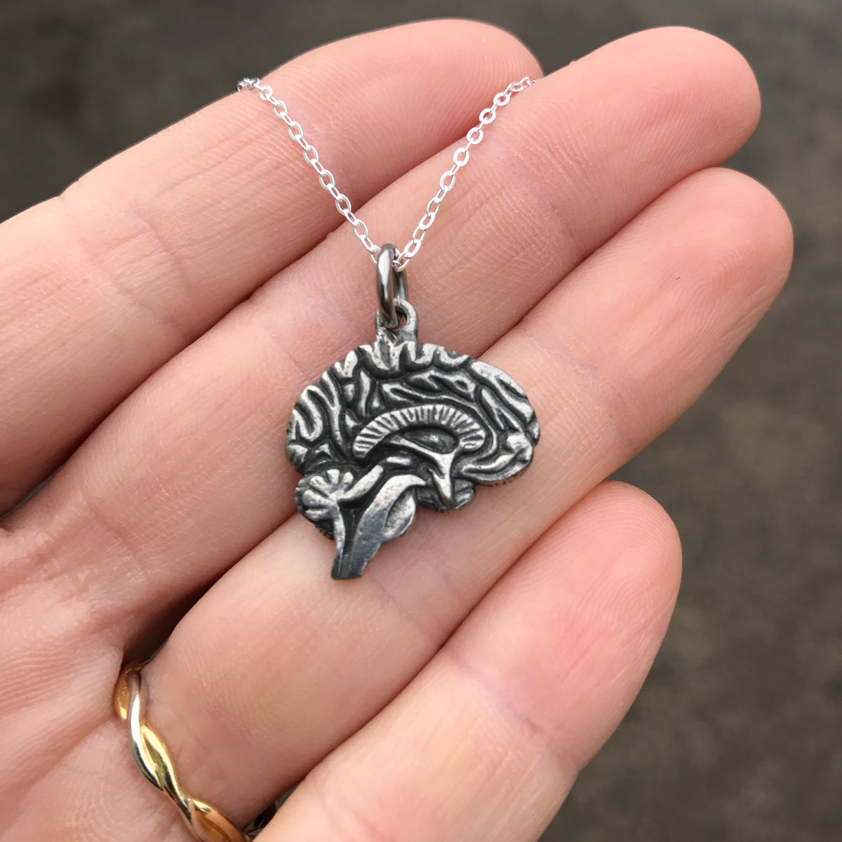 Brain necklace with a silver chain. 