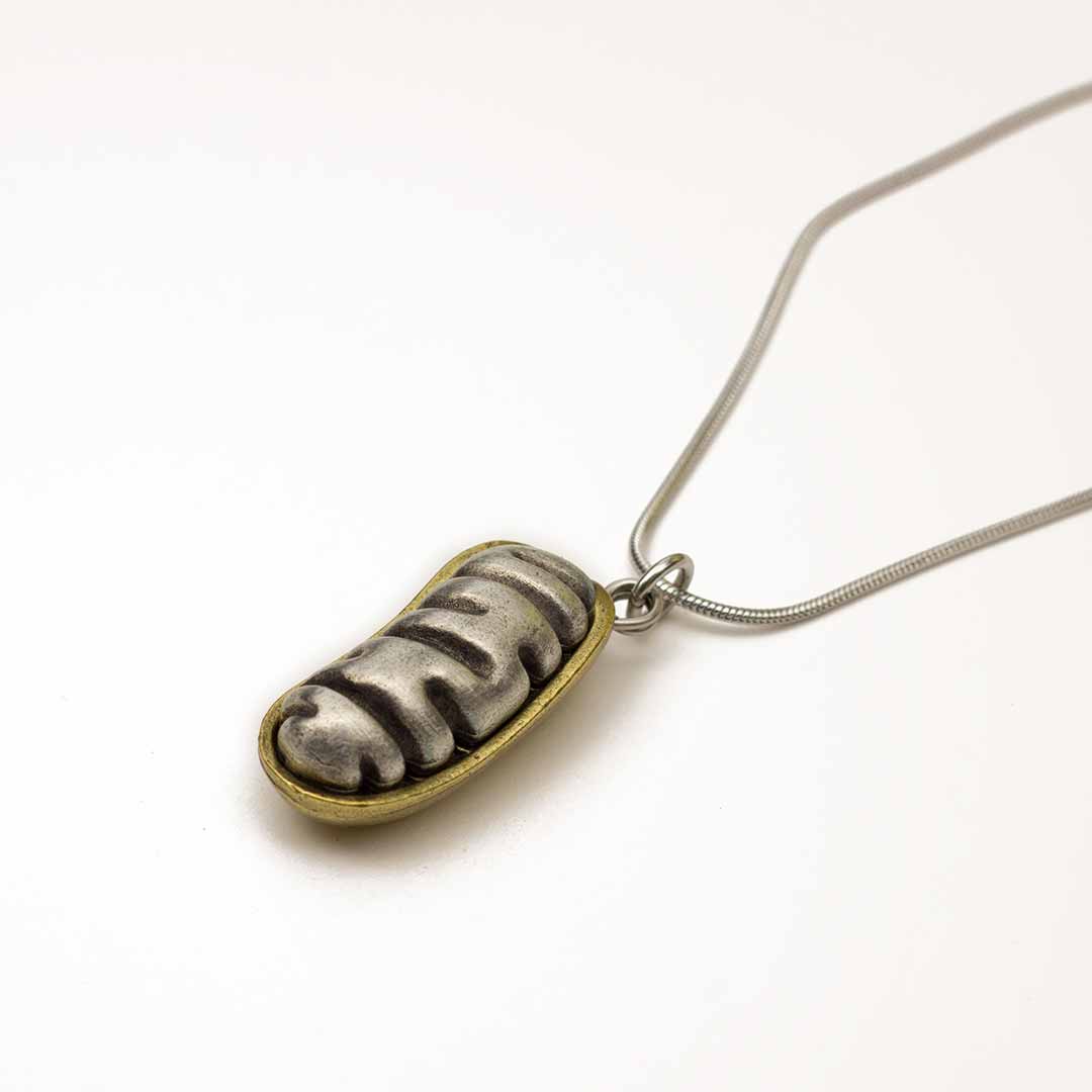 Mitochondria Necklace - a 2-layer locket mitochondrion pendant. Great jewelry gift for teacher or student in biology or science. This photo shows the pewter in front and brass in back.