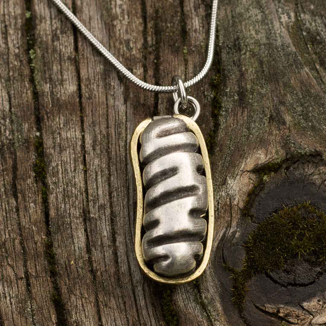 Mitochondria Necklace - a 2-layer locket mitochondrion pendant. Great jewelry gift for teacher or student in biology or science. This photo shows the pewter in front and brass in back.