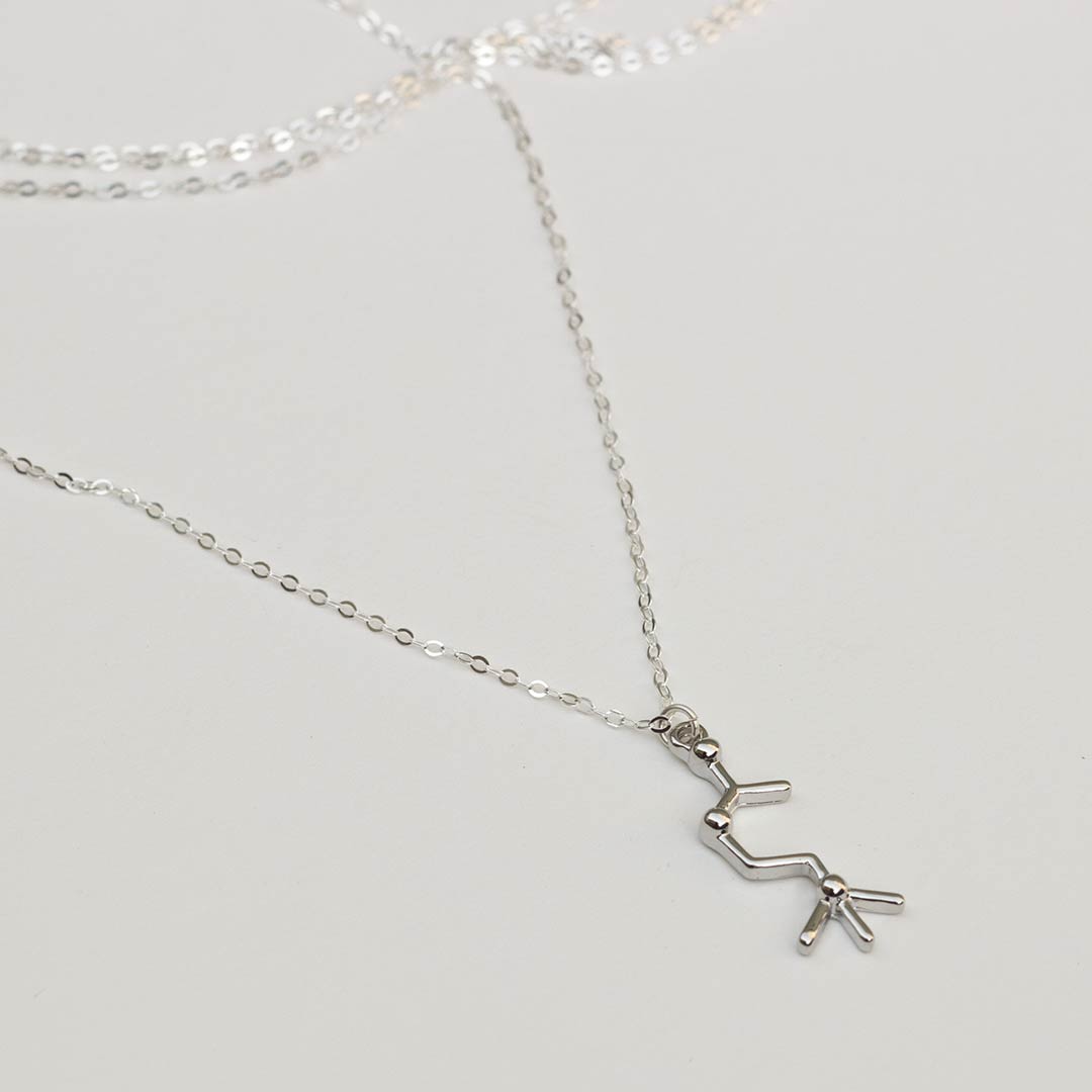 Neurotransmitter molecule acetylcholine necklace. Biology science jewelry that makes a great gift for a scientist, student, or teacher.