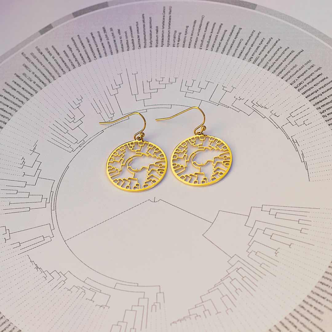 Phylogenetic Tree of Life Earrings: Darwin evolution science jewelry gift - gold version