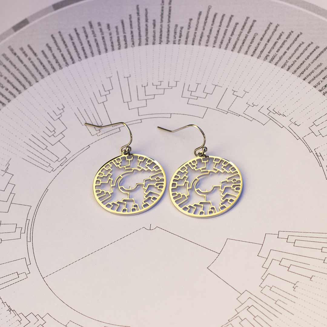 Phylogenetic Tree of Life Earrings: Darwin evolution science jewelry gift - silver version