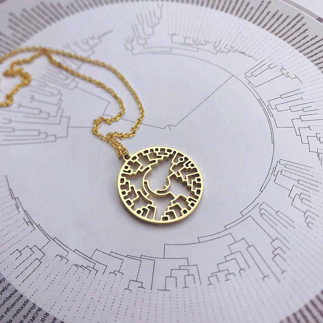 Phylogenetic Tree of Life Necklace: Darwin evolution science jewelry gift - gold version