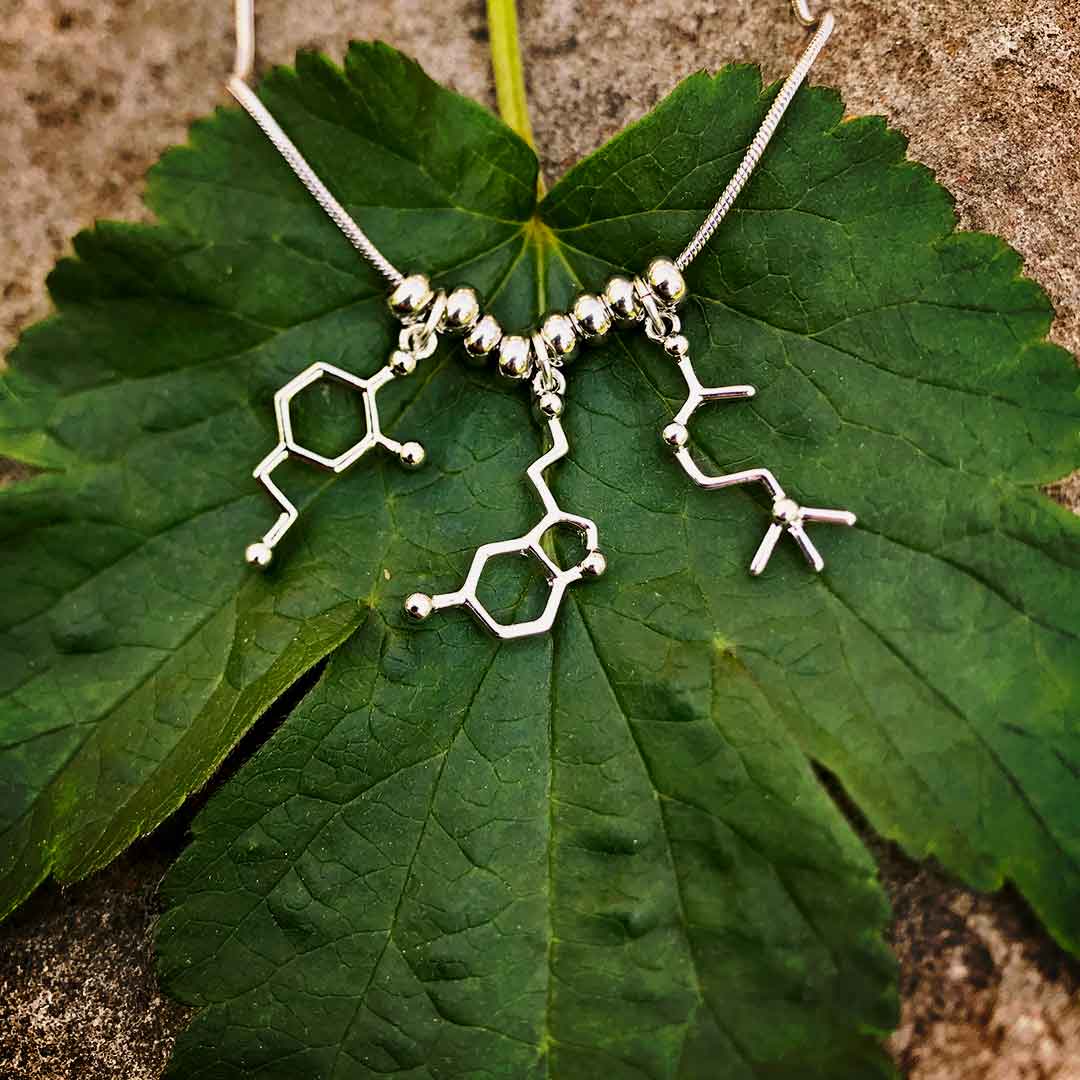 Neurotransmitter molecule necklace that includes dopamine, serotonin, and acetylcholine. Beautiful science jewelry and great gift for a teacher, scientist, or biology student.