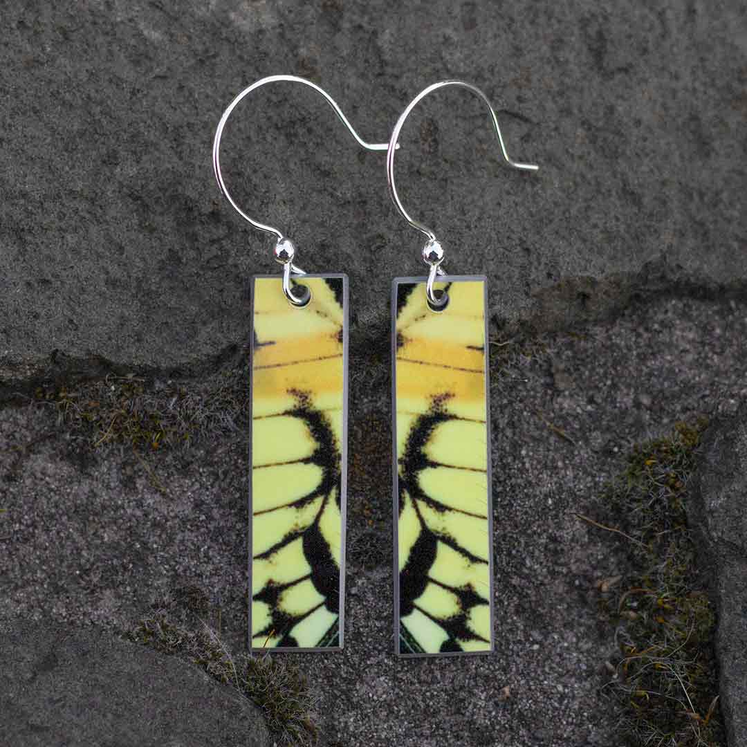 Swallowtail Butterfly Wing Earrings
