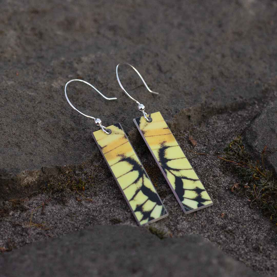 Swallowtail Butterfly Wing Earrings