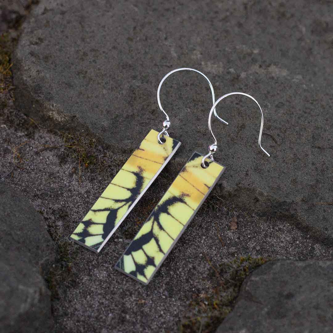 Swallowtail Butterfly Wing Earrings