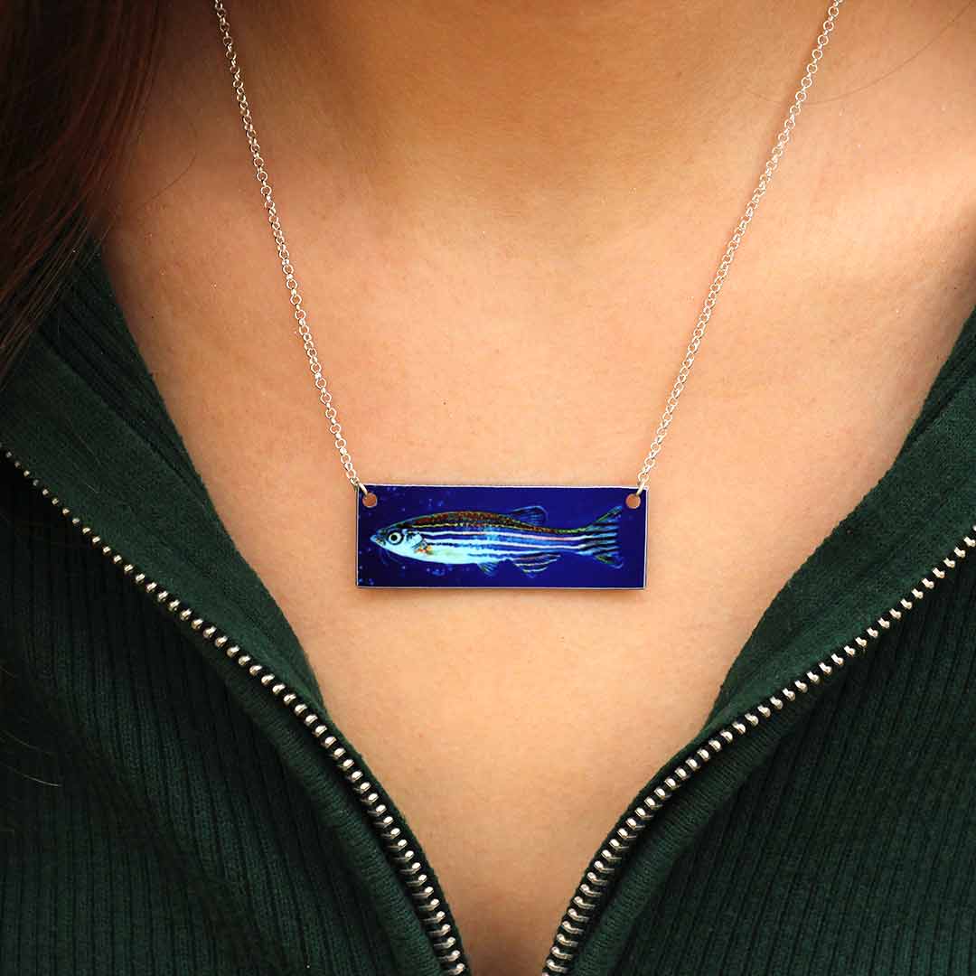 Zebrafish Necklace - science jewelry gift for a teacher, scientist, or laboratory researcher in biology or genetics