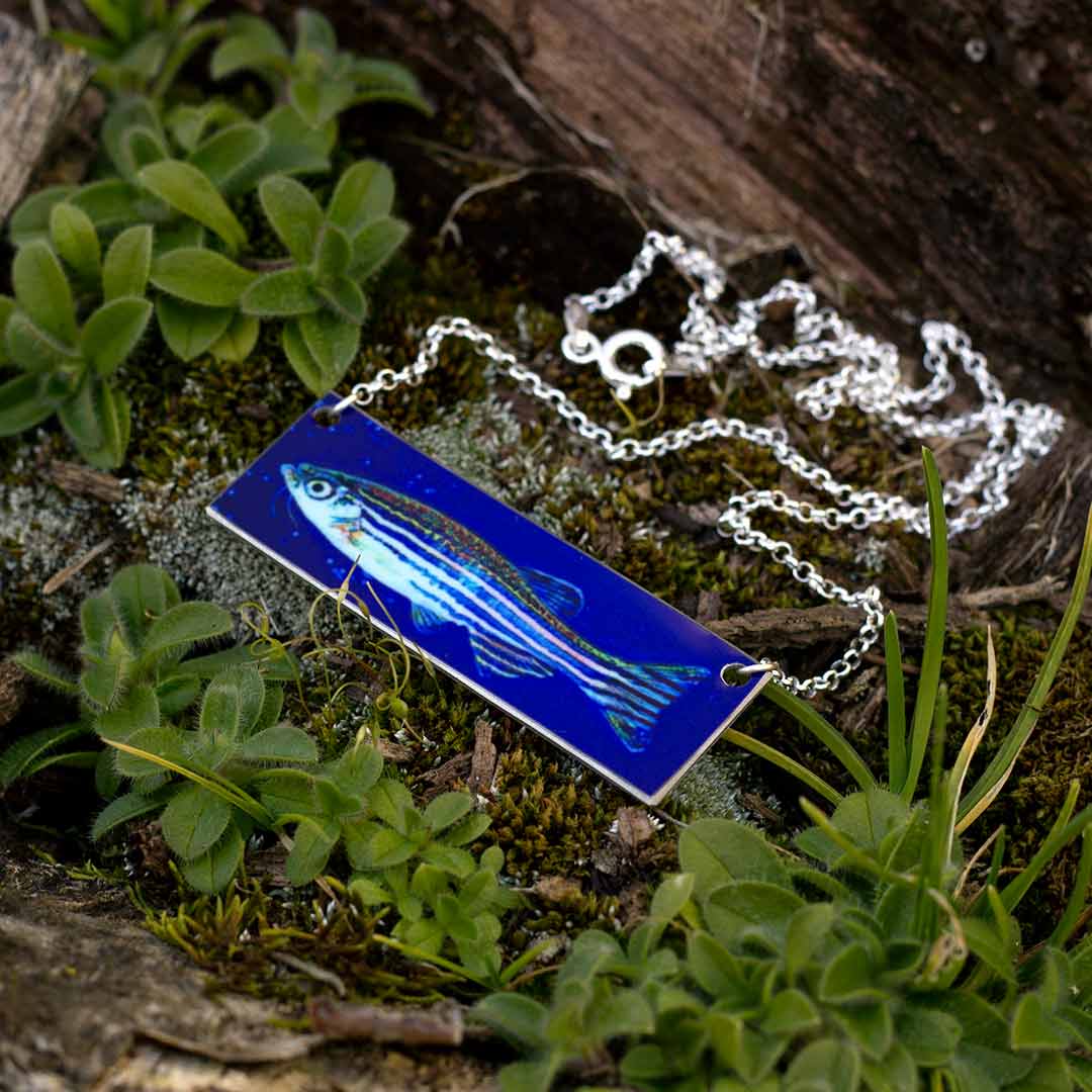 Zebrafish Necklace - science jewelry gift for a teacher, scientist, or laboratory researcher in biology or genetics