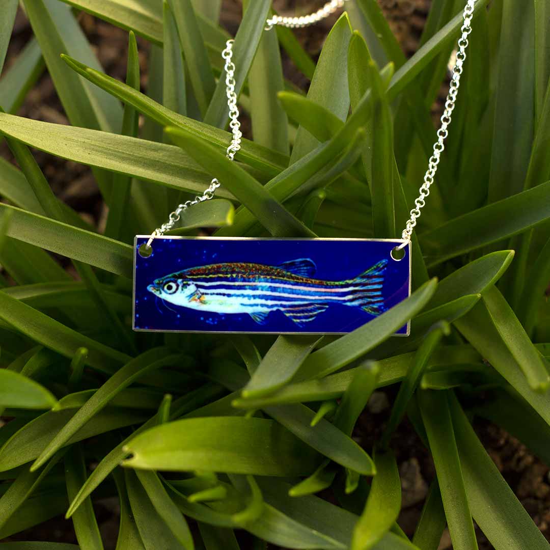 Zebrafish Necklace - science jewelry gift for a teacher, scientist, or laboratory researcher in biology or genetics
